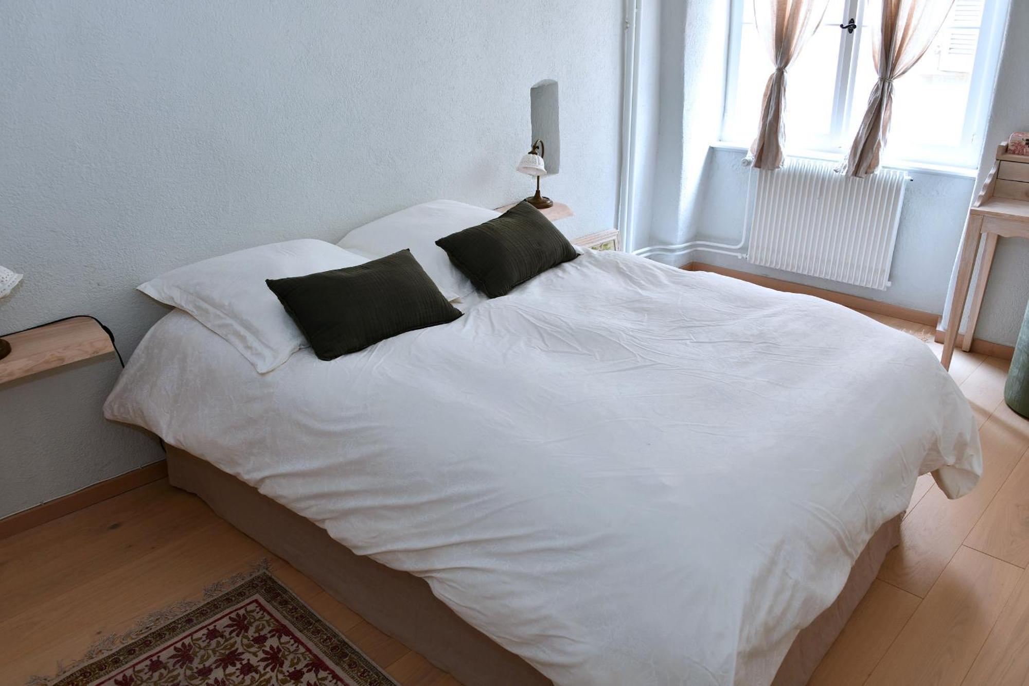 Appartement L'harmonie Des Tanneurs Colmar